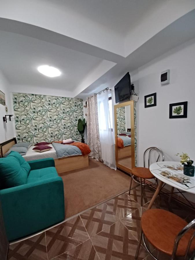 Studio Republicii Apartment Brașov Exterior foto
