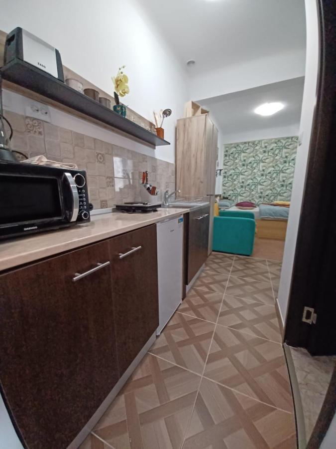 Studio Republicii Apartment Brașov Exterior foto