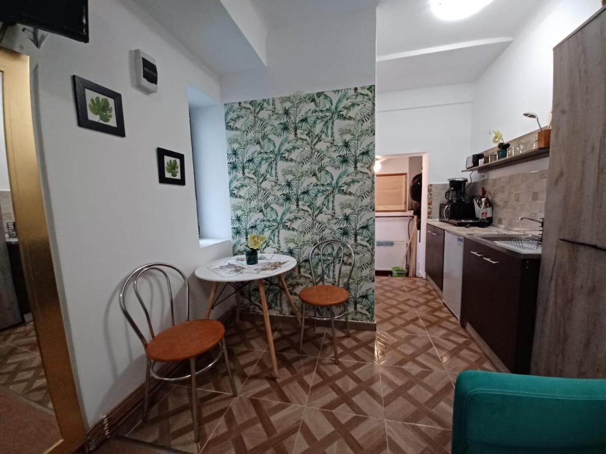 Studio Republicii Apartment Brașov Exterior foto